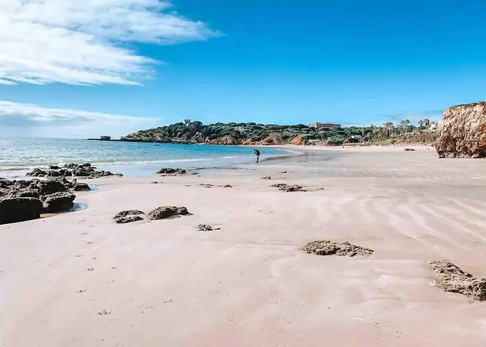 Plant Paradise 公寓 *