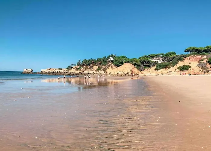 Plant Paradise 公寓 *