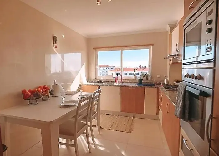 Plant Paradise 阿尔布费拉