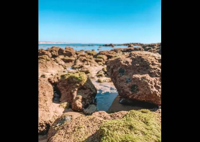 Plant Paradise 公寓 *