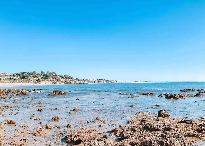 Plant Paradise 公寓