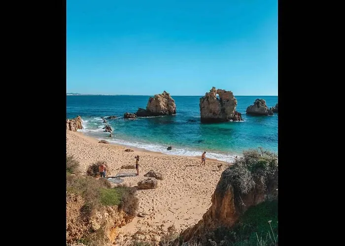 Plant Paradise 公寓 *