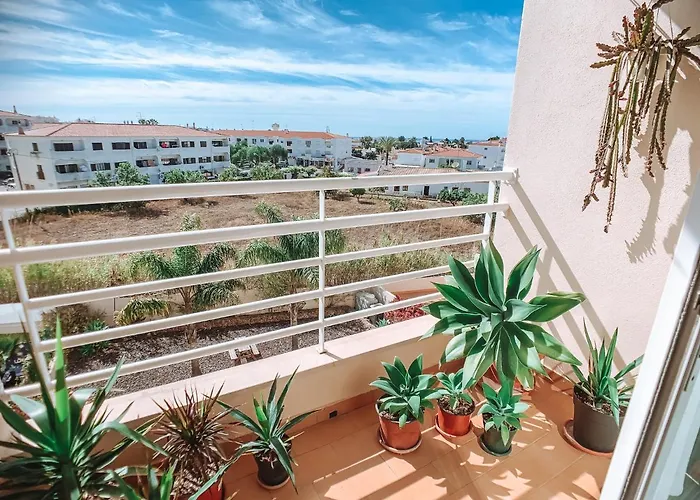 公寓 Plant Paradise *