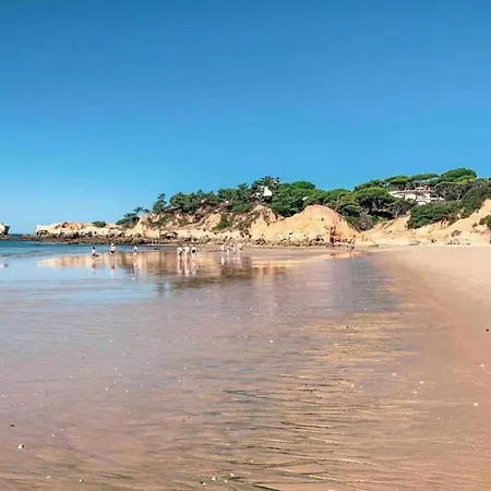 Plant Paradise Appartement *