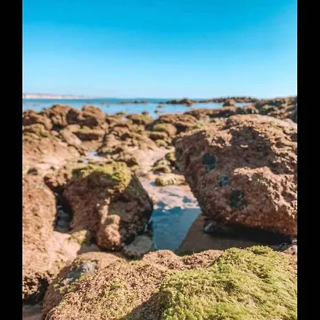Plant Paradise Appartement *