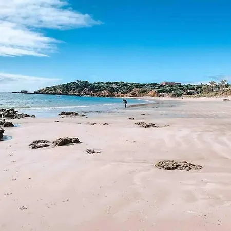 Plant Paradise Apartament *