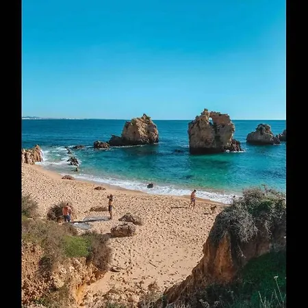 Plant Paradise Apartament *